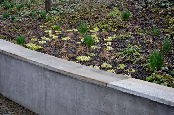 Concrete Wall Construction in Greenfield