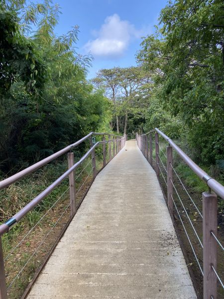 Footpath Construction in Greenfield