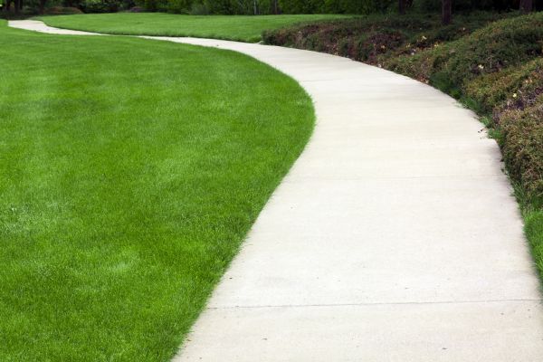 Pathway Construction in Greenfield