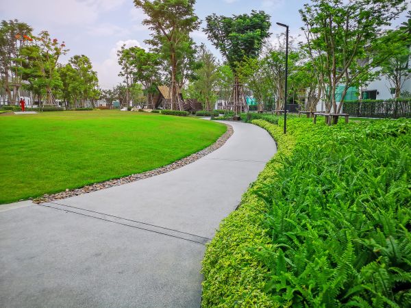 Cement Walkway Service in Greenfield