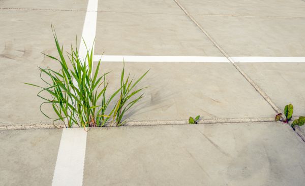 Concrete Parking Installation in Greenfield