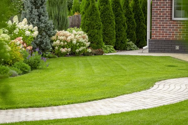 Landscape Walkway Installation in Greenfield